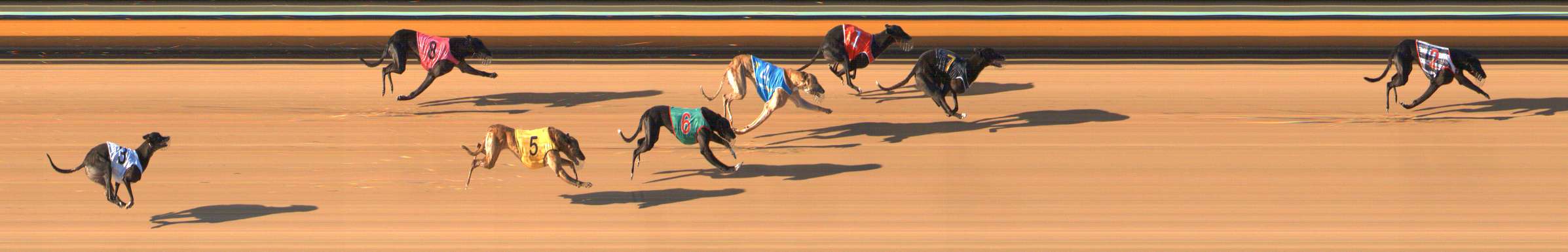 Photo finish for Bendigo Race 6