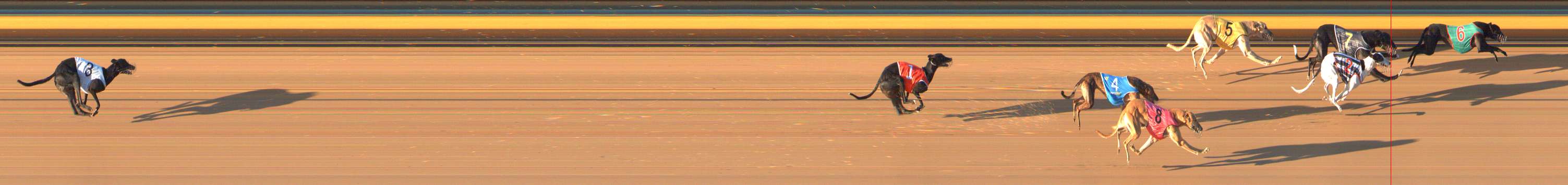 Photo finish for Bendigo Race 8