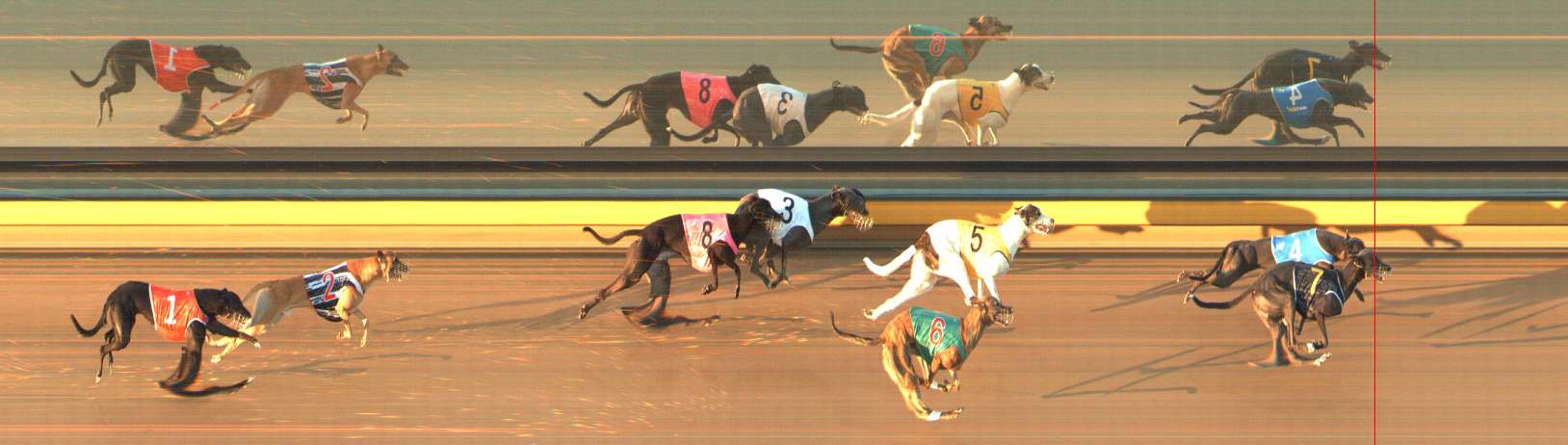 Photo finish for Bendigo Race 10