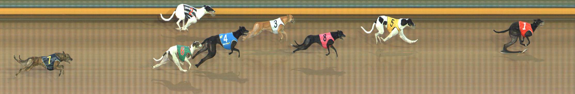 Photo finish for Bendigo Race 11