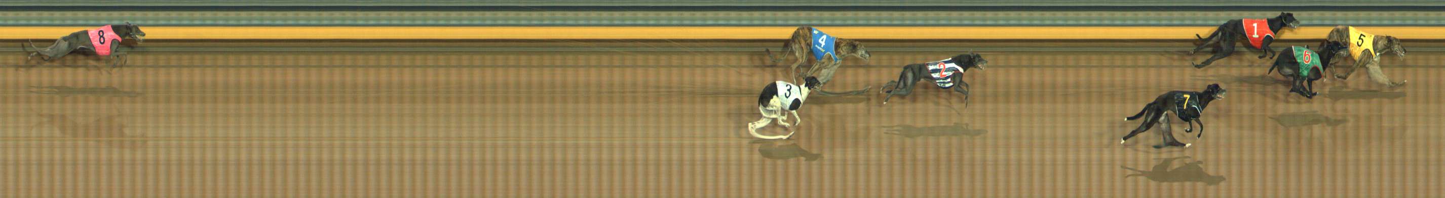 Photo finish for Bendigo Race 12