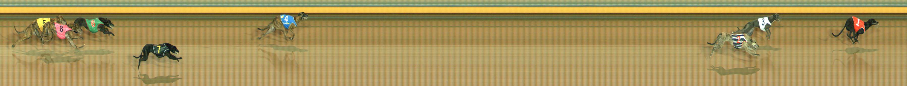 Photo finish for Bendigo Race 1