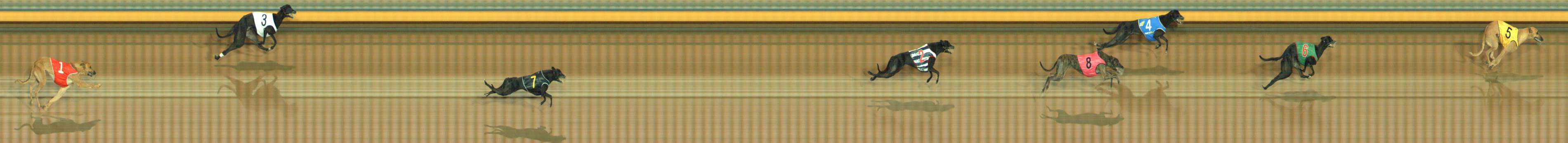 Photo finish for Bendigo Race 2