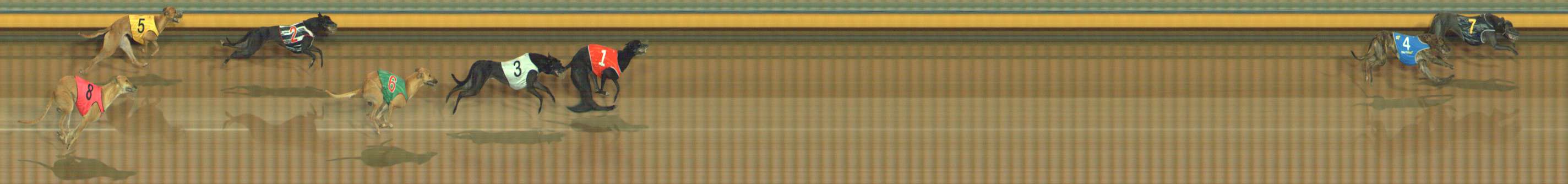 Photo finish for Bendigo Race 3