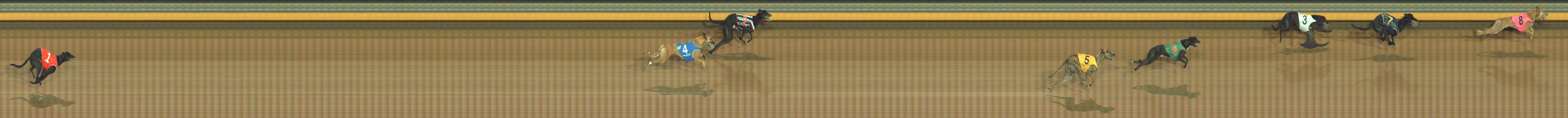 Photo finish for Bendigo Race 4