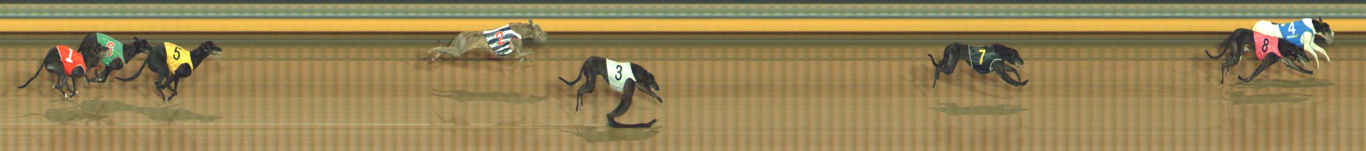 Photo finish for Bendigo Race 5