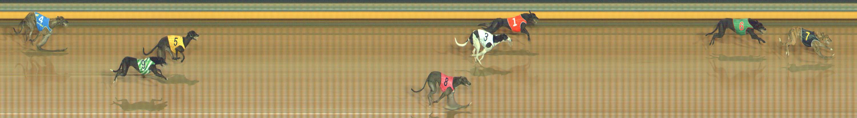 Photo finish for Bendigo Race 7