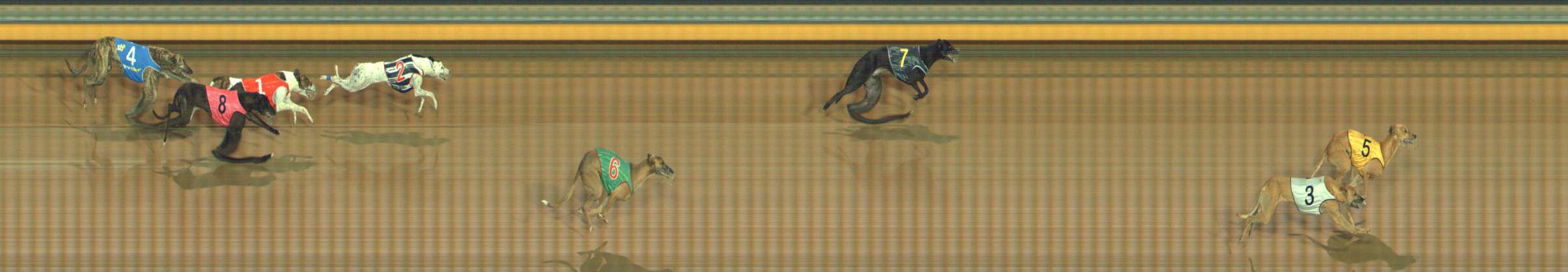 Photo finish for Bendigo Race 8