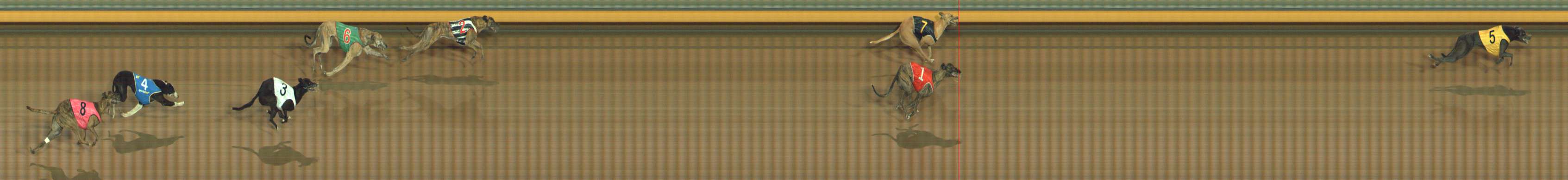 Photo finish for Bendigo Race 9