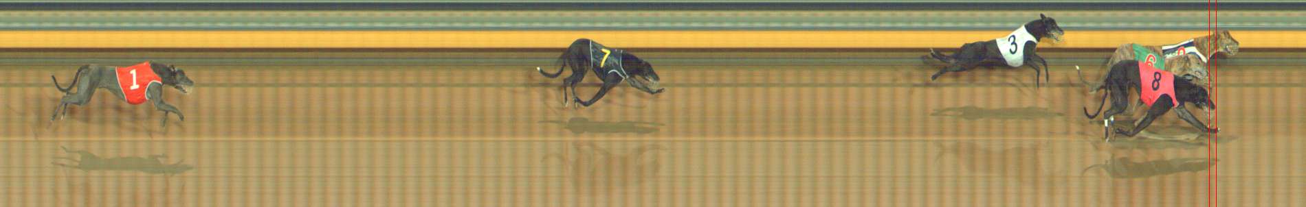Photo finish for Bendigo Race 10