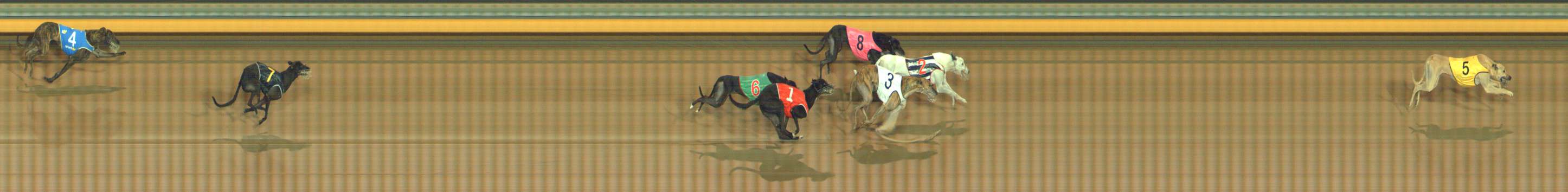Photo finish for Bendigo Race 12