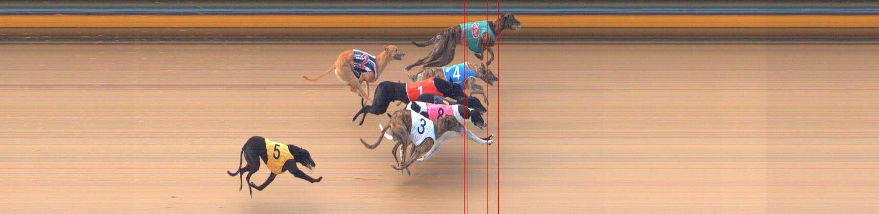 Photo finish for Bendigo Race 3