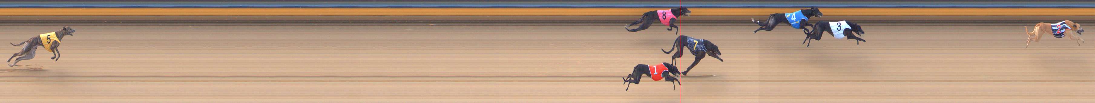 Photo finish for Bendigo Race 4