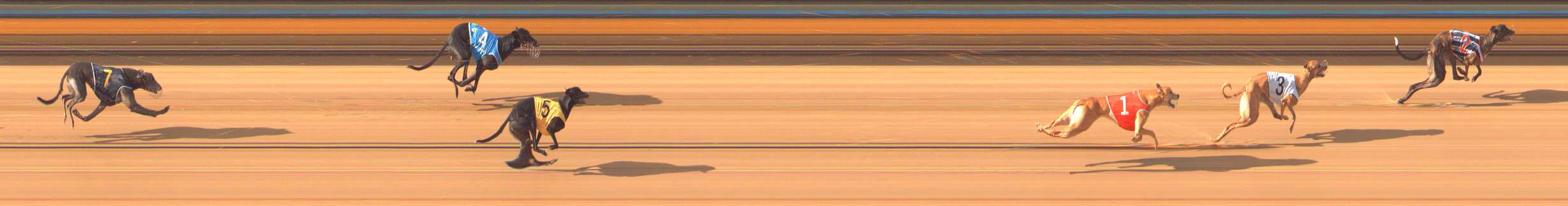 Photo finish for Bendigo Race 5