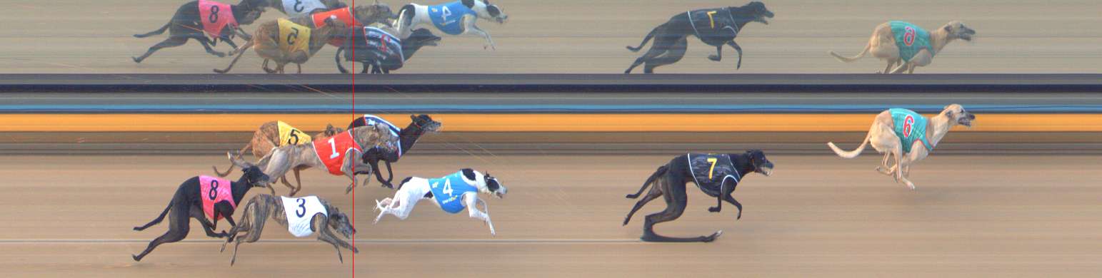 Photo finish for Bendigo Race 6