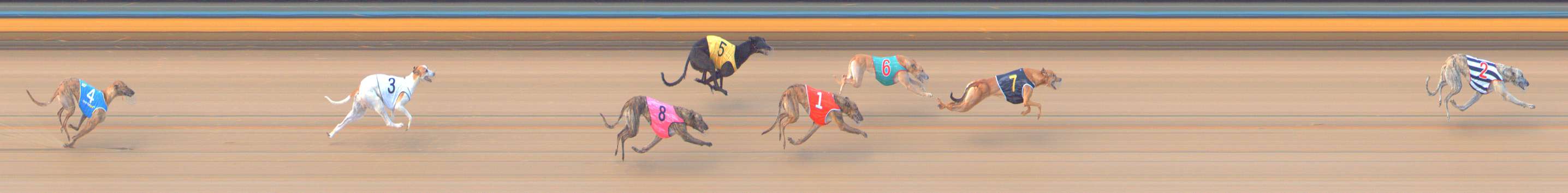 Photo finish for Bendigo Race 7