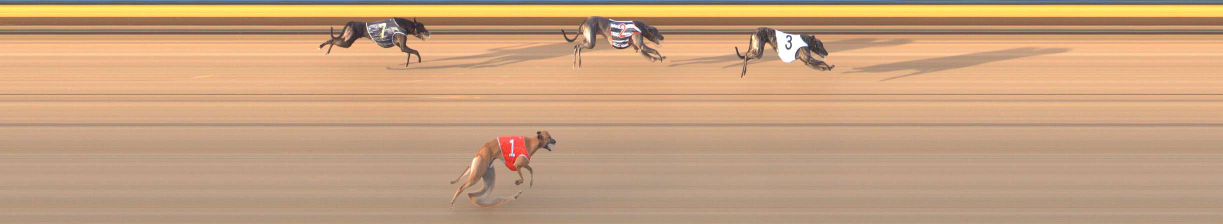 Photo finish for Bendigo Race 8