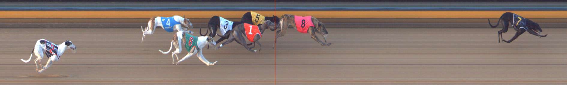 Photo finish for Bendigo Race 9