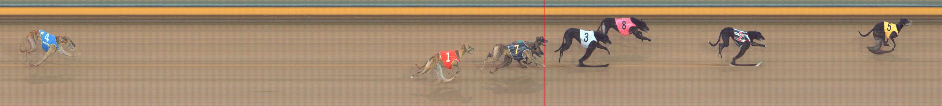 Photo finish for Bendigo Race 10