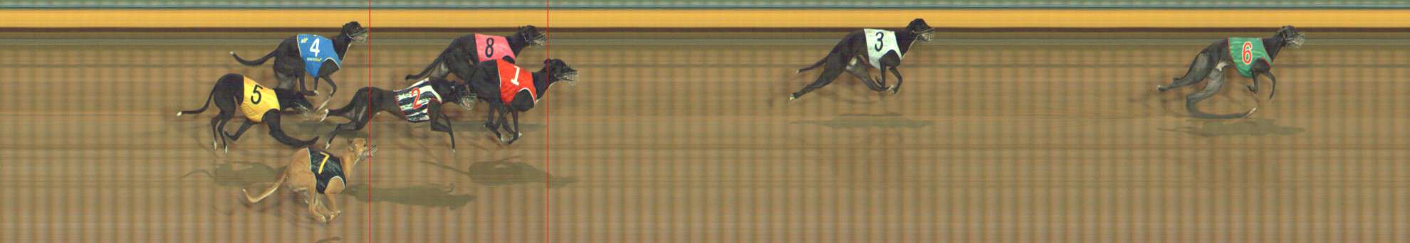 Photo finish for Bendigo Race 12