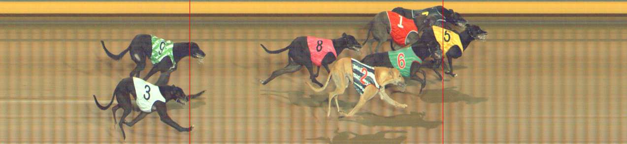 Photo finish for Bendigo Race 4