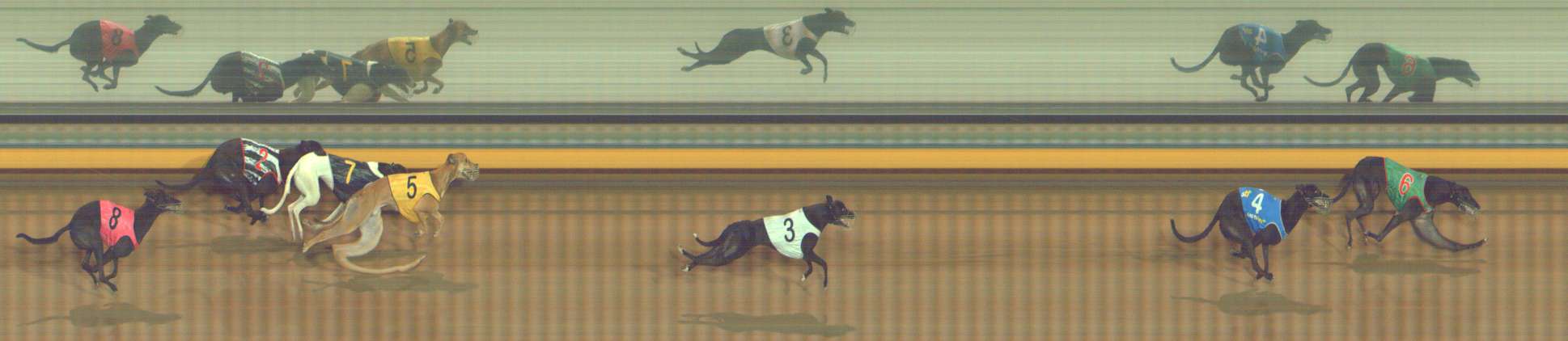 Photo finish for Bendigo Race 5