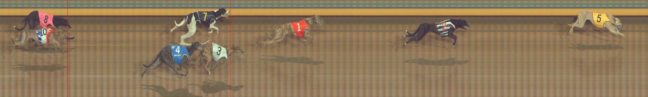 Photo finish for Bendigo Race 8