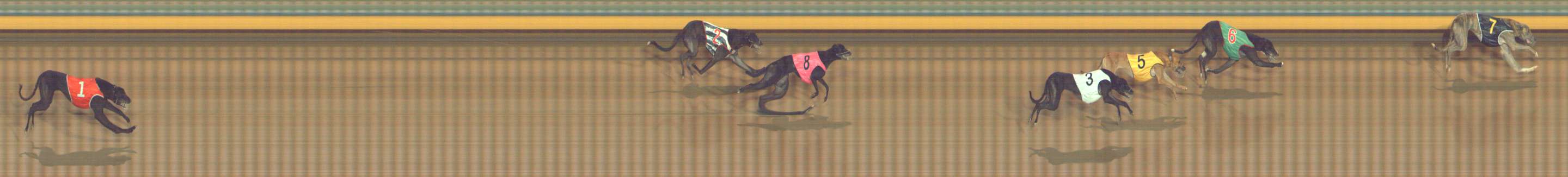 Photo finish for Bendigo Race 9