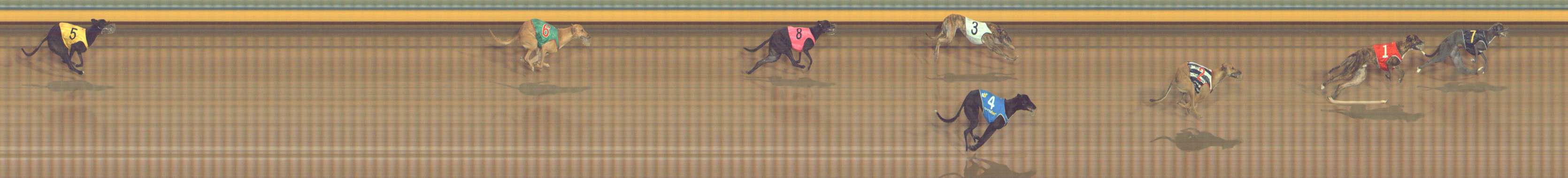 Photo finish for Bendigo Race 12