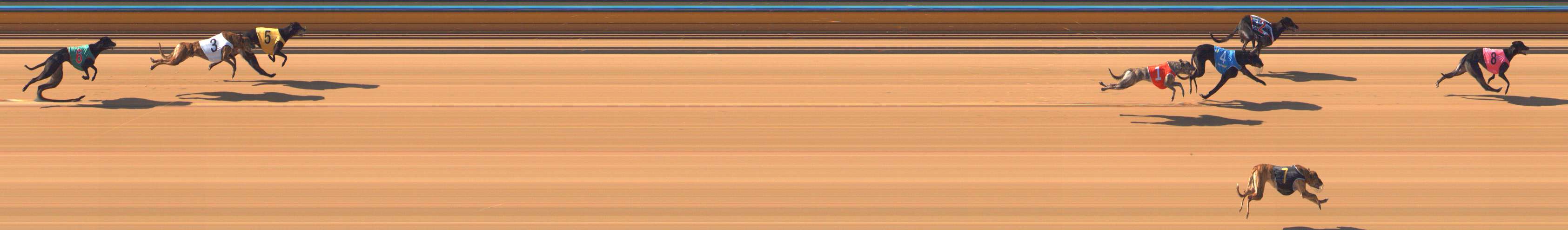 Photo finish for Bendigo Race 2
