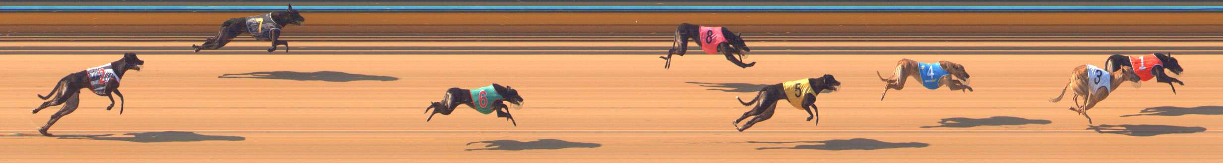 Photo finish for Bendigo Race 3