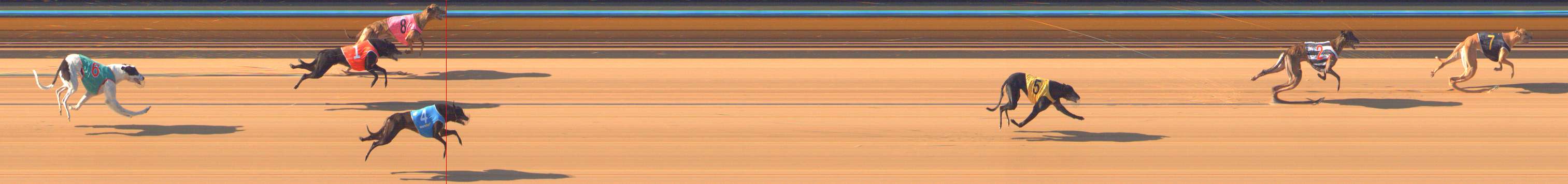 Photo finish for Bendigo Race 4
