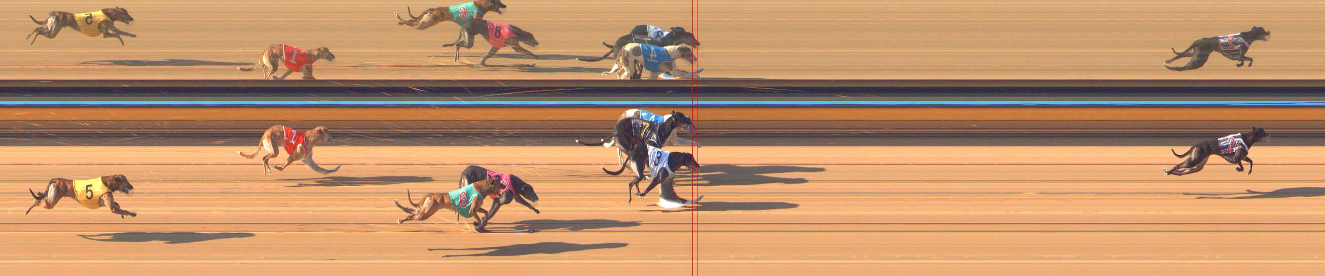 Photo finish for Bendigo Race 5