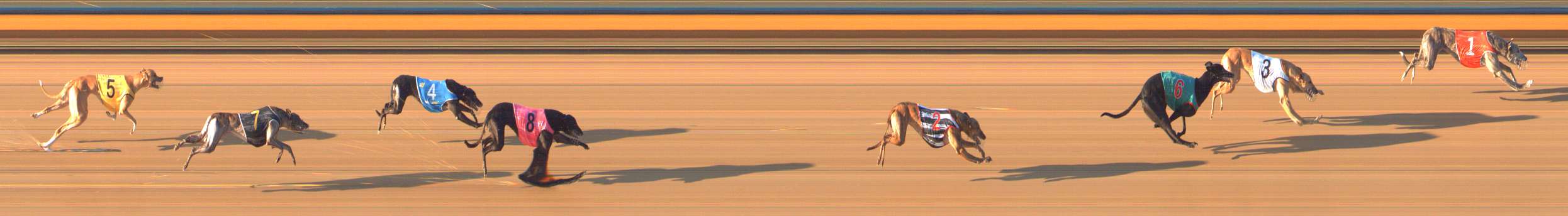 Photo finish for Bendigo Race 7