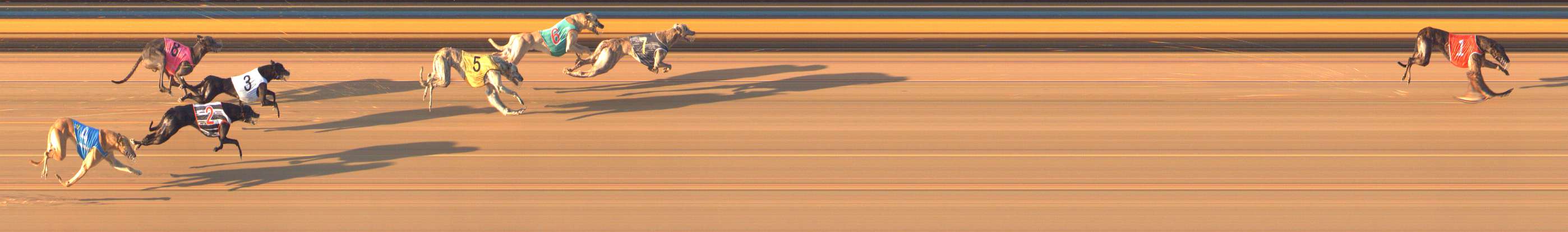 Photo finish for Bendigo Race 8