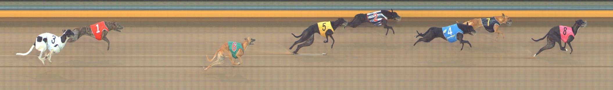 Photo finish for Bendigo Race 10