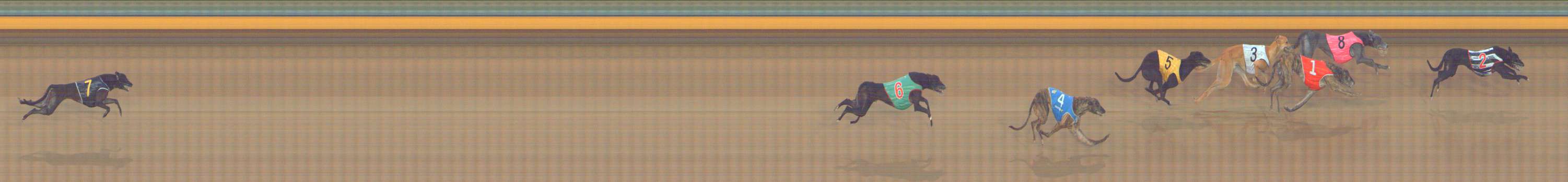 Photo finish for Bendigo Race 11