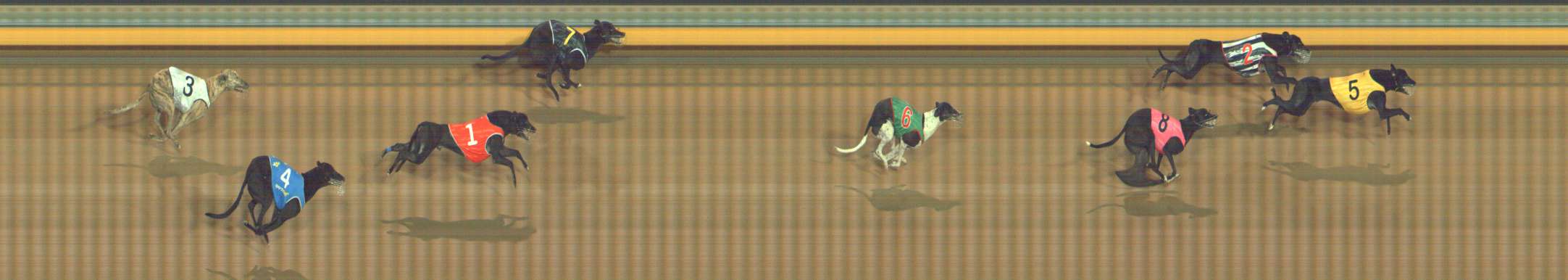 Photo finish for Bendigo Race 13