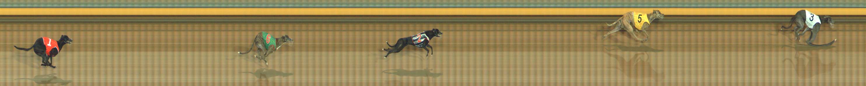Photo finish for Bendigo Race 1
