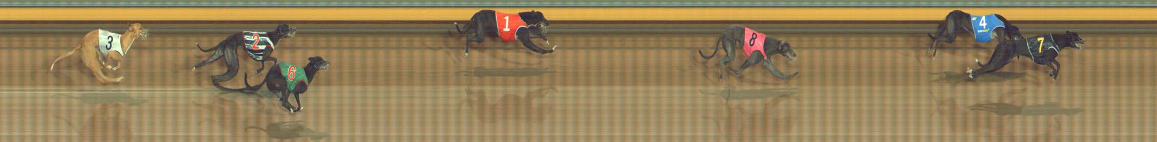 Photo finish for Bendigo Race 2