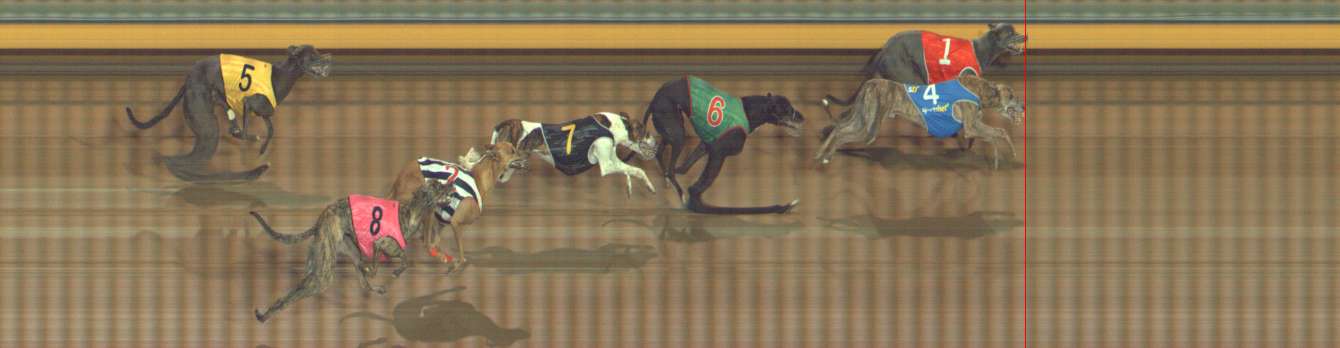 Photo finish for Bendigo Race 7