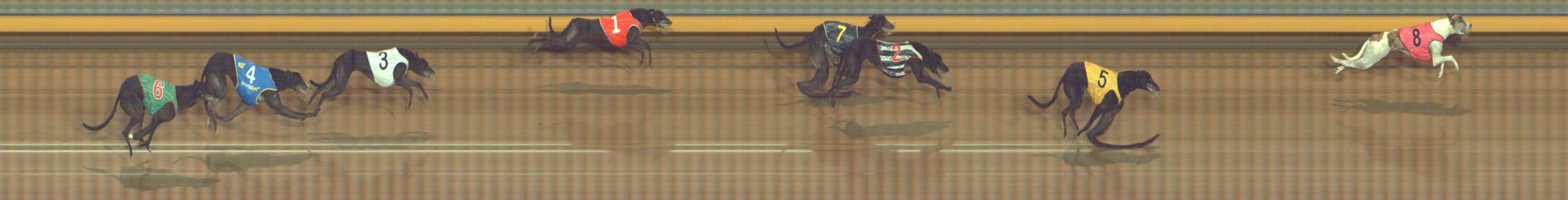 Photo finish for Bendigo Race 8