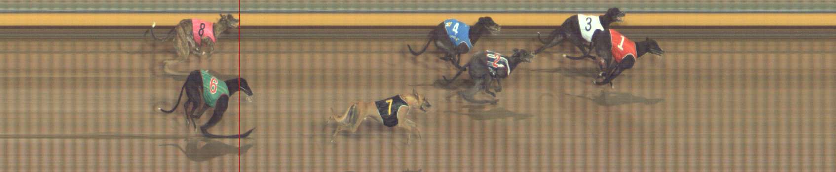 Photo finish for Bendigo Race 9