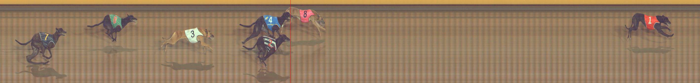 Photo finish for Bendigo Race 10