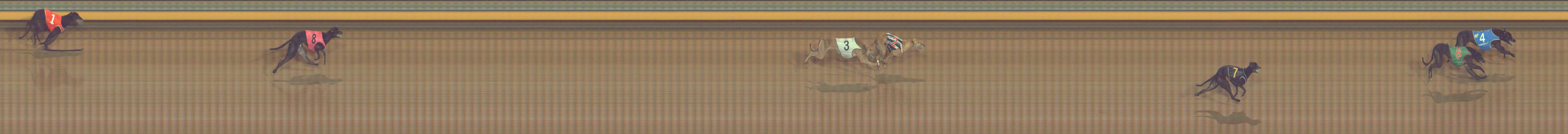 Photo finish for Bendigo Race 11