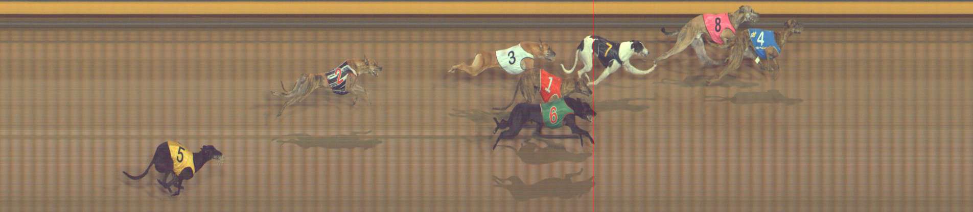 Photo finish for Bendigo Race 12
