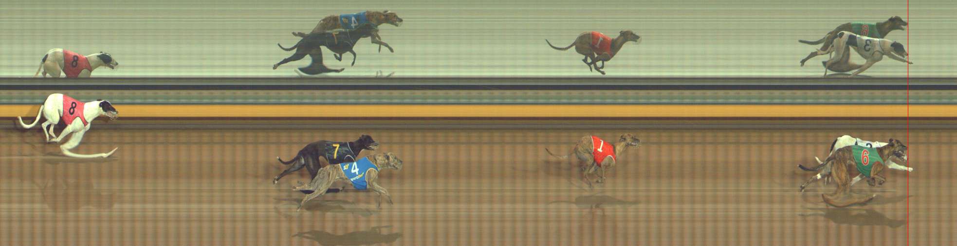 Photo finish for Bendigo Race 3