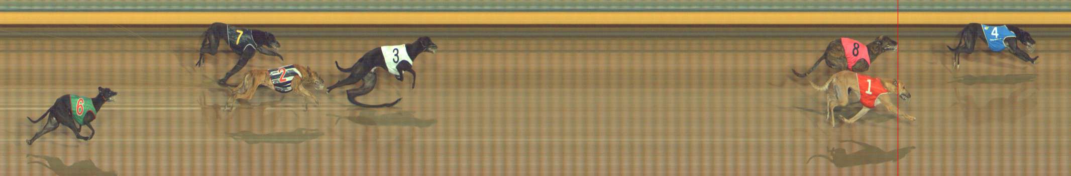 Photo finish for Bendigo Race 5