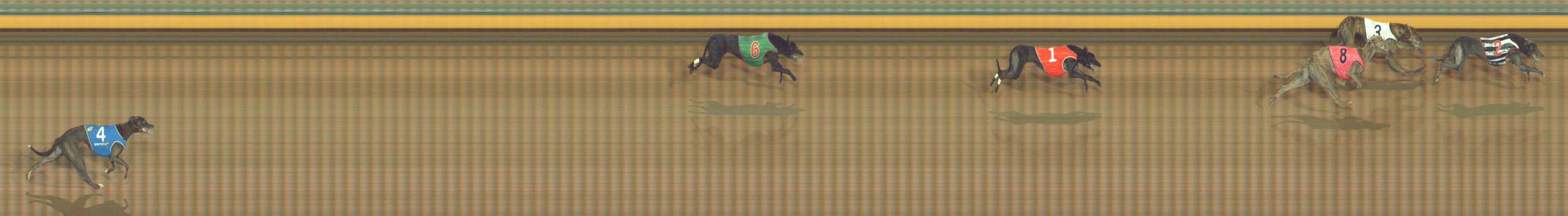 Photo finish for Bendigo Race 6