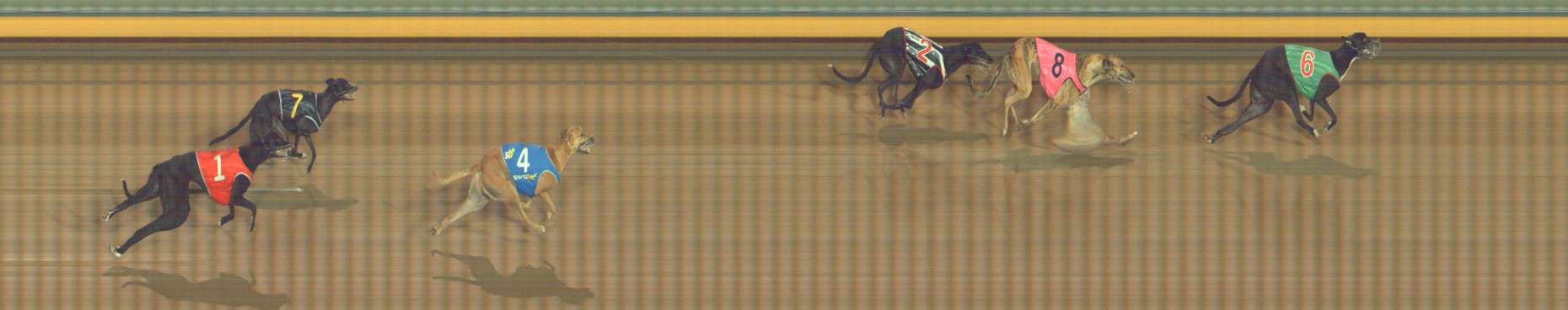 Photo finish for Bendigo Race 7